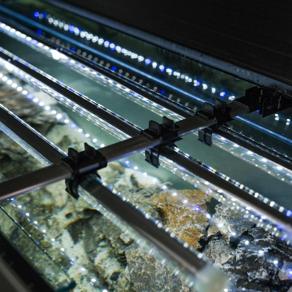 glossy detal 9,1.jpg